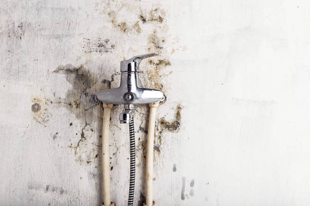 Best Post-Remediation Services in Andrews, TX