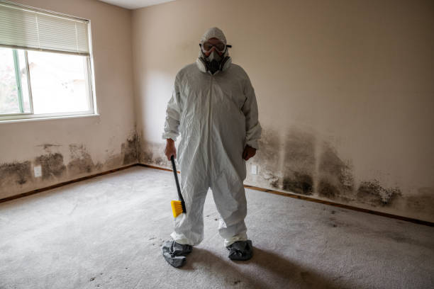 Best Residential Mold Remediation in Andrews, TX